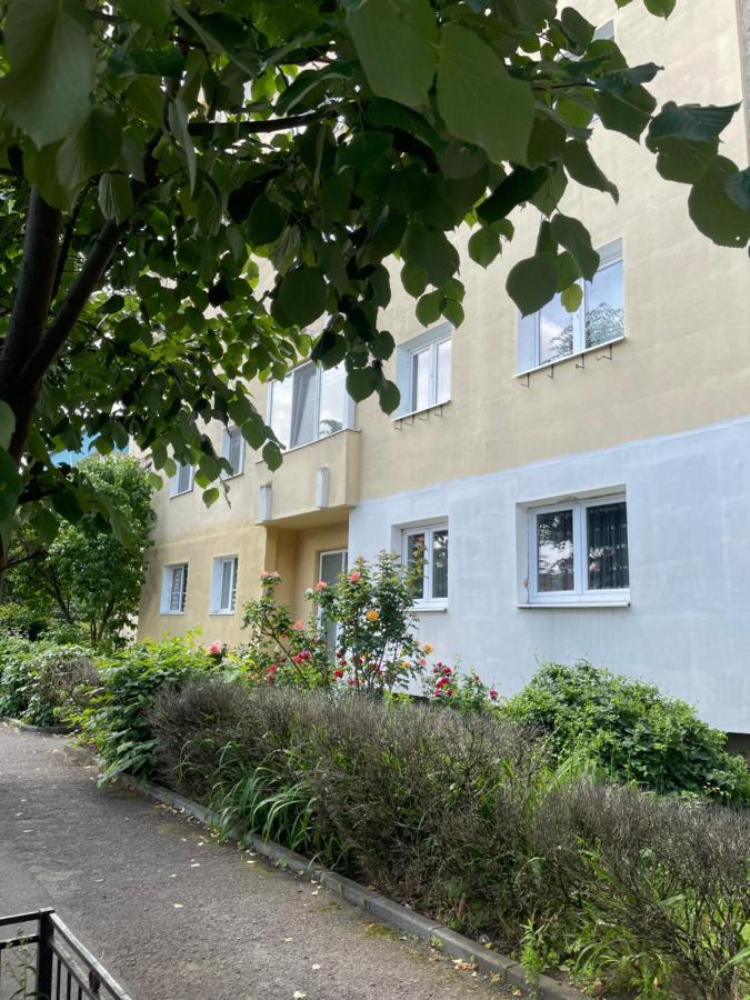 Ego Deluxe Apartment - Central Location Nagyszeben Kültér fotó